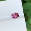 Blush Pink Spinel Stone: 1.30 CTS Faceted Oval Burma Gem - Splendor Gems