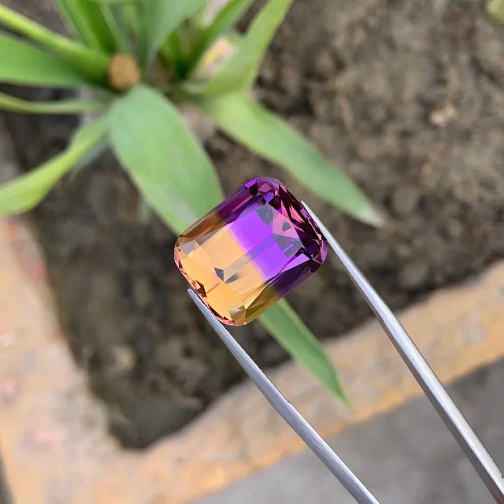 Amethyst gemstone held by tweezers with a plant in the background