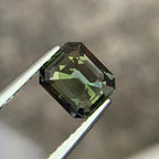 Natural Olive Green Sapphire 1.60 Ct Unheated Loose Gemstone Eye Clean Rare Sapphire From Sri Lanka