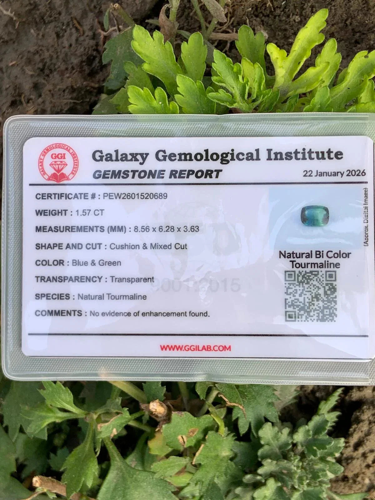 Certified Natural Bi-Color Tourmaline 1.57 Ct | Blue Green Tourmaline | GGI Report | Cushion Cut Gemstone