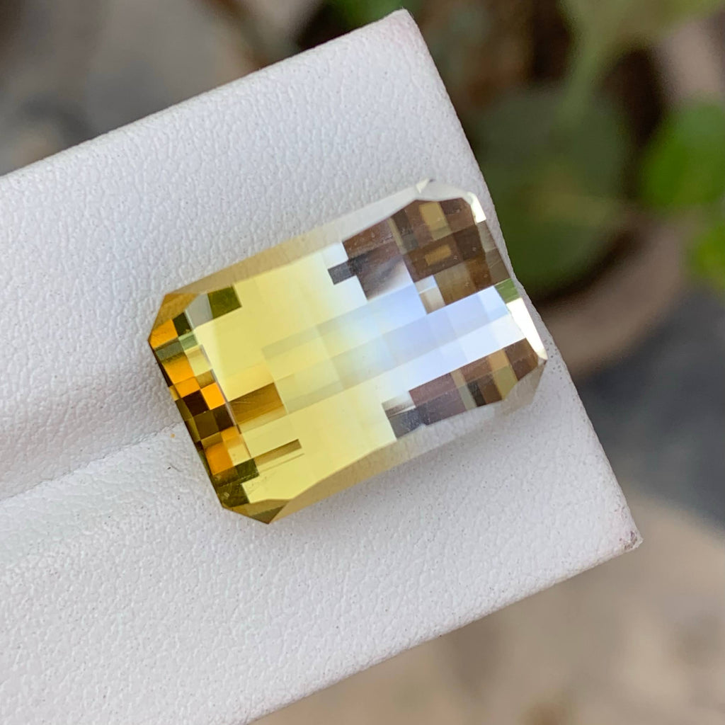 Natural Bicolour Citrine 17.81 Ct Pixel Cut Brazil Loose Gemstone Loupe Clean Untreated