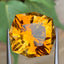 Natural Mandarin Citrine 21.47 Ct Brazilian Loose Gemstone | Eye Clean Untreated Citrine | Large Golden Orange Jewelry Stone