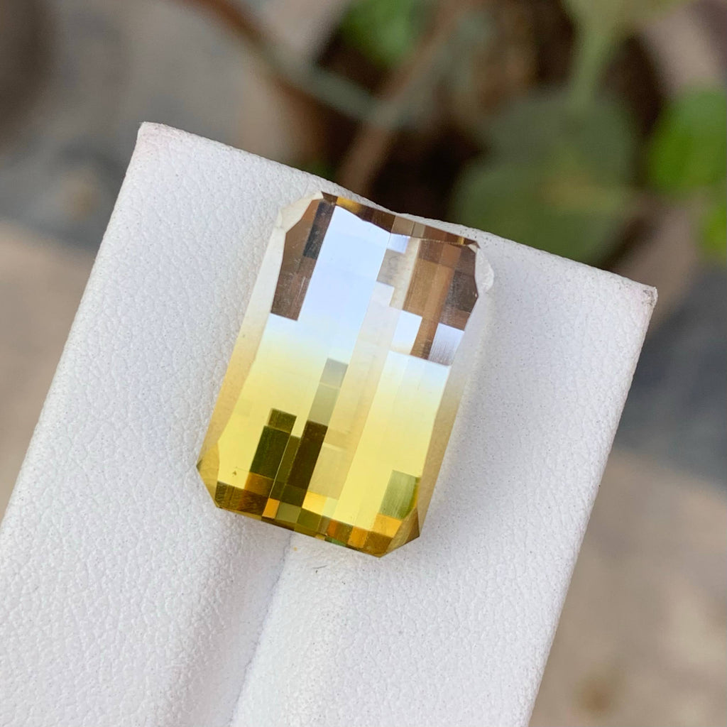 Natural Bicolour Citrine 17.81 Ct Pixel Cut Brazil Loose Gemstone Loupe Clean Untreated