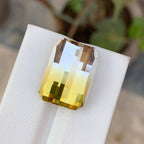 Natural Bicolour Citrine 17.81 Ct Pixel Cut Brazil Loose Gemstone Loupe Clean Untreated