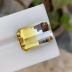 Natural Bicolour Citrine 17.81 Ct Pixel Cut Brazil Loose Gemstone Loupe Clean Untreated