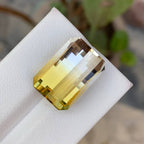 Natural Bicolour Citrine 17.81 Ct Pixel Cut Brazil Loose Gemstone Loupe Clean Untreated