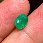 Natural Zambian Emerald 1.49 Ct Oval Faceted Loose Gemstone | SI Clarity Minor Oil | Genuine Emerald for Fine Jewelry