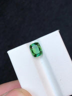Algae Green Tourmaline: 1.35 Carat Afghan Gemstone - Splendor Gems