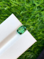 Algae Green Tourmaline: 1.35 Carat Afghan Gemstone - Splendor Gems
