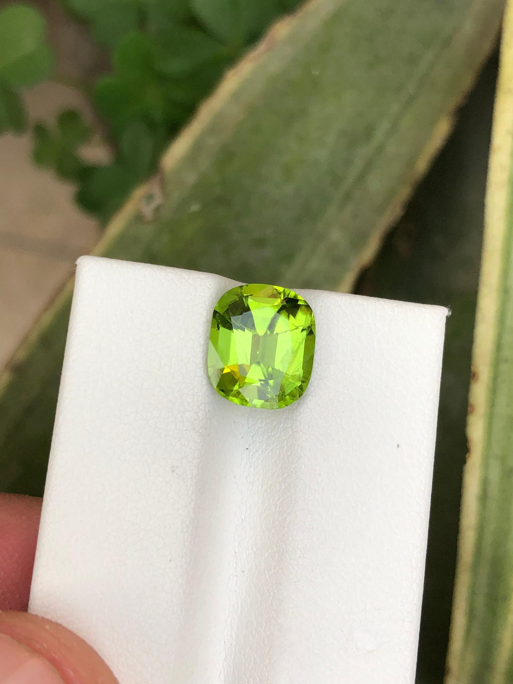 Lime Green Faceted Peridot Gemstone: 3.10 Carat, Kohisan Origin