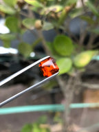 Bright Orange Garnet Gemstone: 1.80 ct Asscher Cut, Nigeria - Splendor Gems