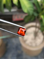 Bright Orange Garnet Gemstone: 1.80 ct Asscher Cut, Nigeria - Splendor Gems