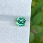 Mint Green Tourmaline Gemstone: 2.55ct Afghan Cushion Cut