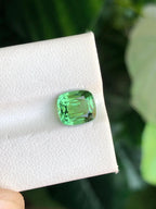 Mint Green Tourmaline Gemstone: 2 Carat, Eye Clean, Afghanistan Origin
