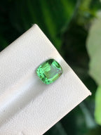 Mint Green Tourmaline Gemstone: 2 Carat, Eye Clean, Afghanistan Origin