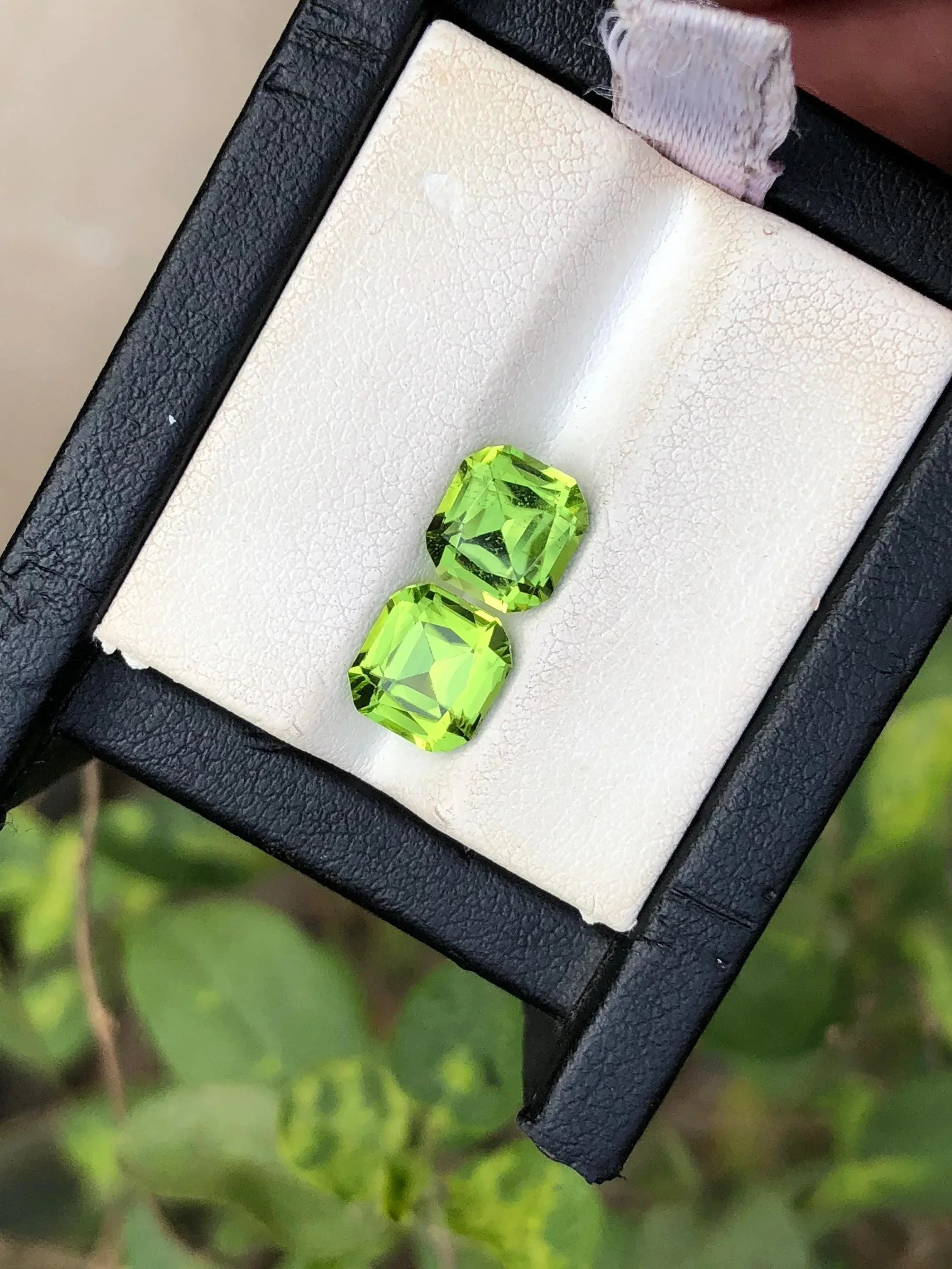 Cushion Cut Peridot Pair: 3.95 Carat Loupe Clean Gemstones - Splendor Gems