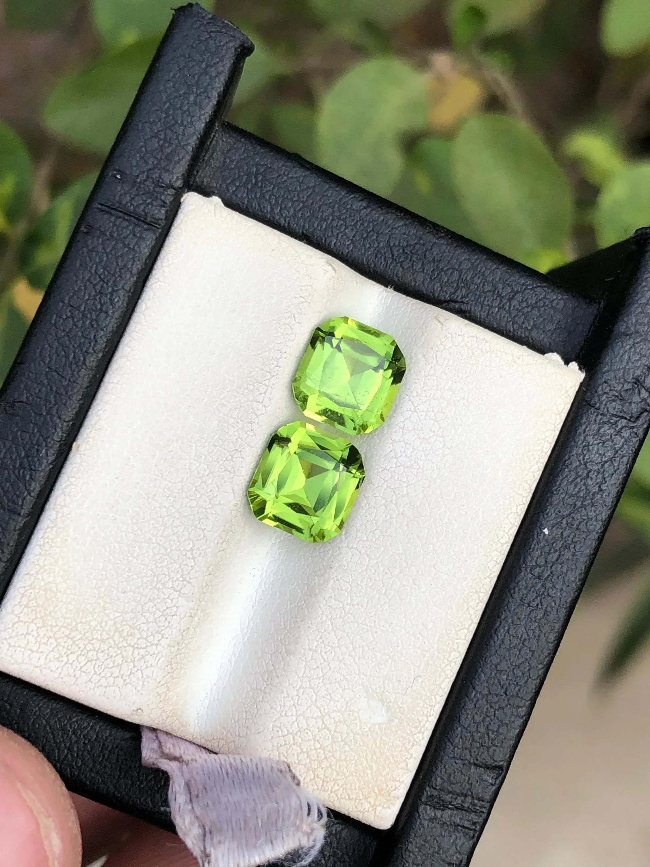 Cushion Cut Peridot Pair: 3.95 Carat Loupe Clean Gemstones - Splendor Gems Main image