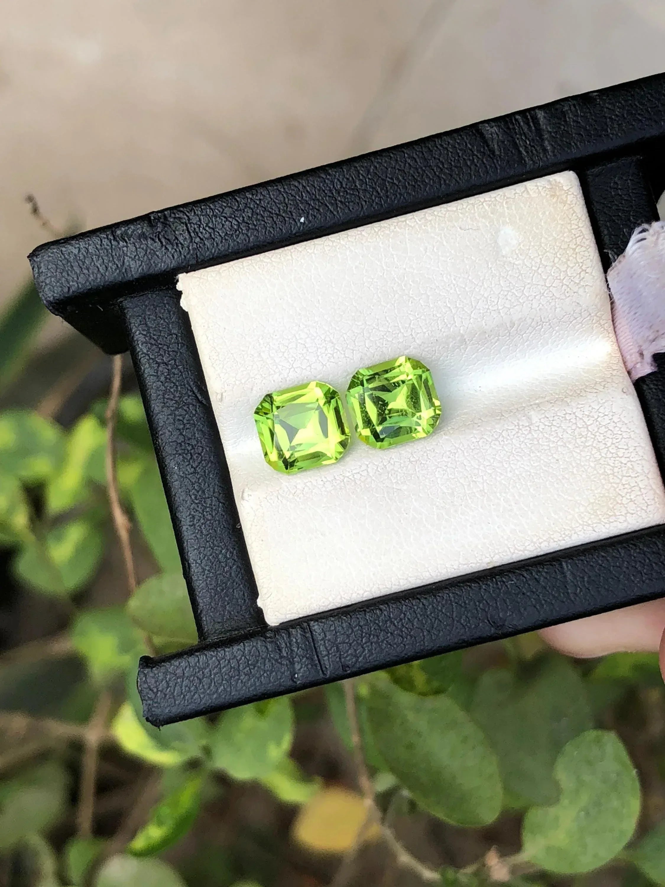 Cushion Cut Peridot Pair: 3.95 Carat Loupe Clean Gemstones - Splendor Gems