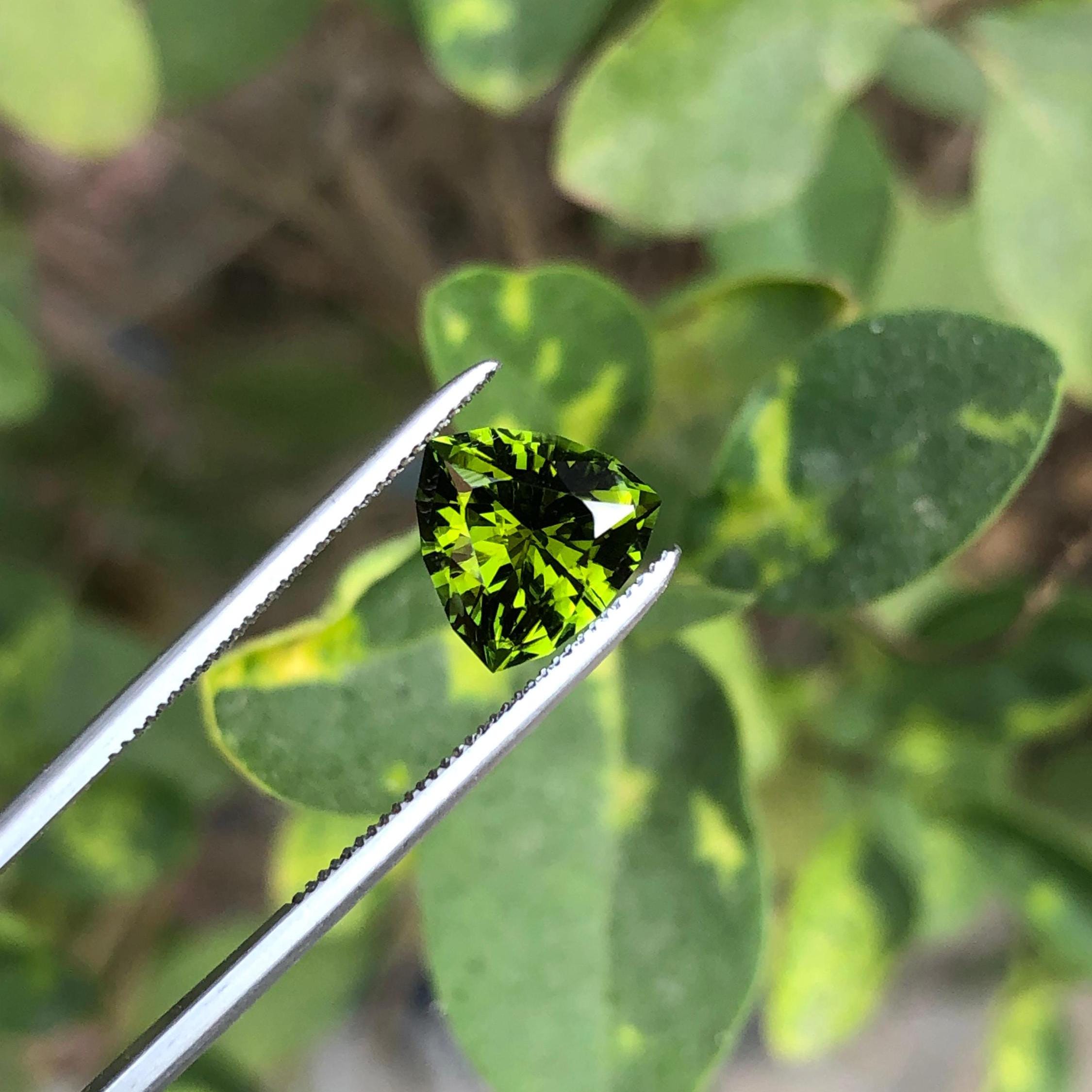 Mustard Green Tourmaline: Faceted Trillion Cut Loose Gemstone (1.80 CTS, 8.0 x 5.0 mm) Secondary image