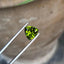 Mustard Green Tourmaline: Faceted Trillion Cut Loose Gemstone (1.80 CTS, 8.0 x 5.0 mm)