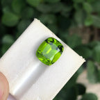7.30 CTS Dark Lime Green Cushion Cut Peridot Gemstone: Pakistan Origin - Splendor Gems