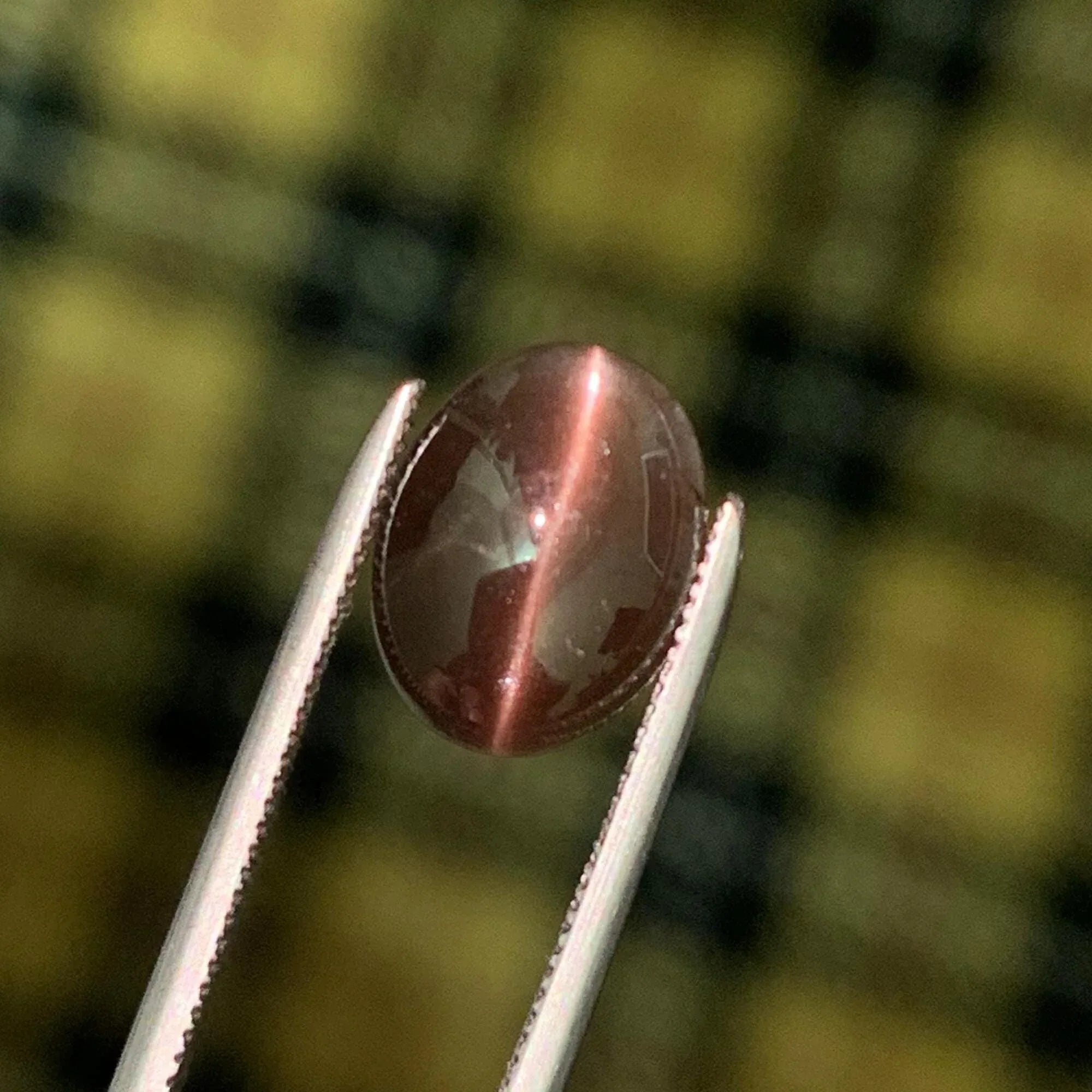 Cat's Eye Scapolite Gemstone: 2.05 Carat Oval Cabochon, Chocolaty Afghan Gem Secondary image