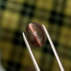 Cat's Eye Scapolite Gemstone: 2.05 Carat Oval Cabochon, Chocolaty Afghan Gem - Splendor Gems