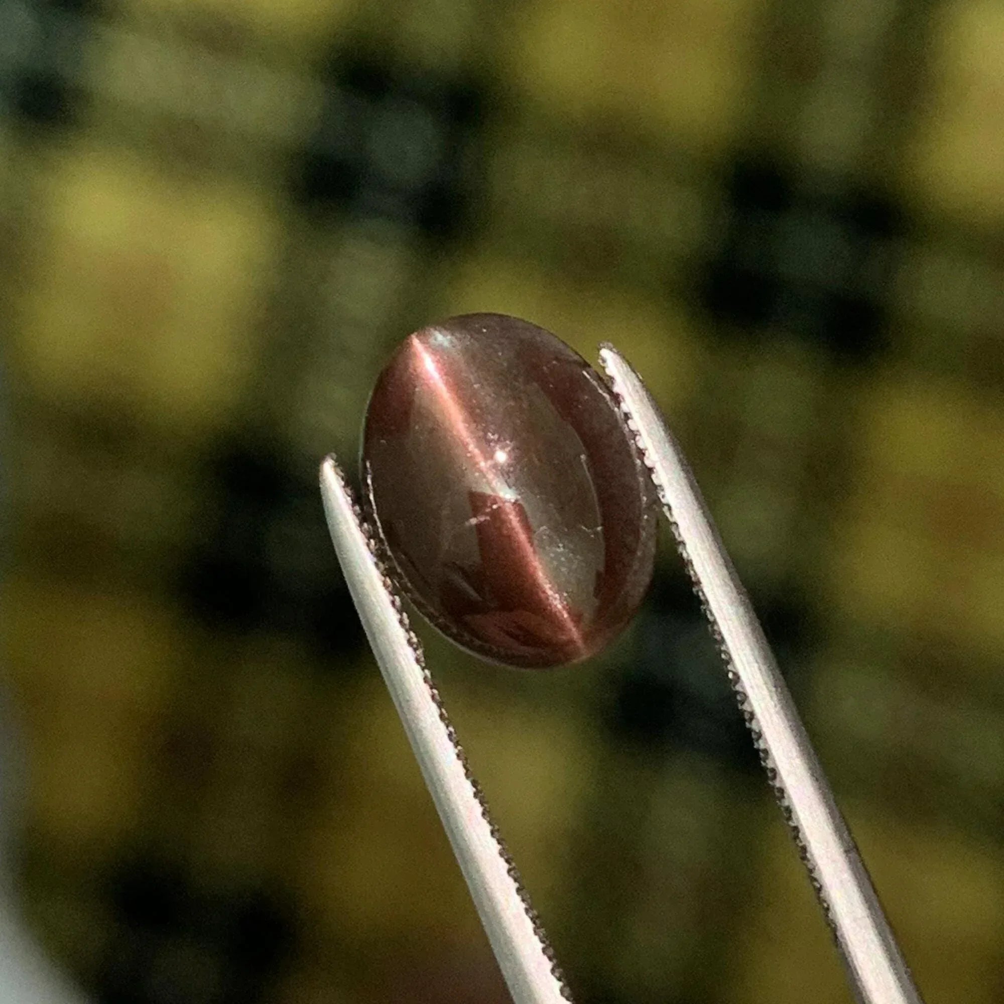 Cat's Eye Scapolite Gemstone: 2.05 Carat Oval Cabochon, Chocolaty Afghan Gem - Splendor Gems