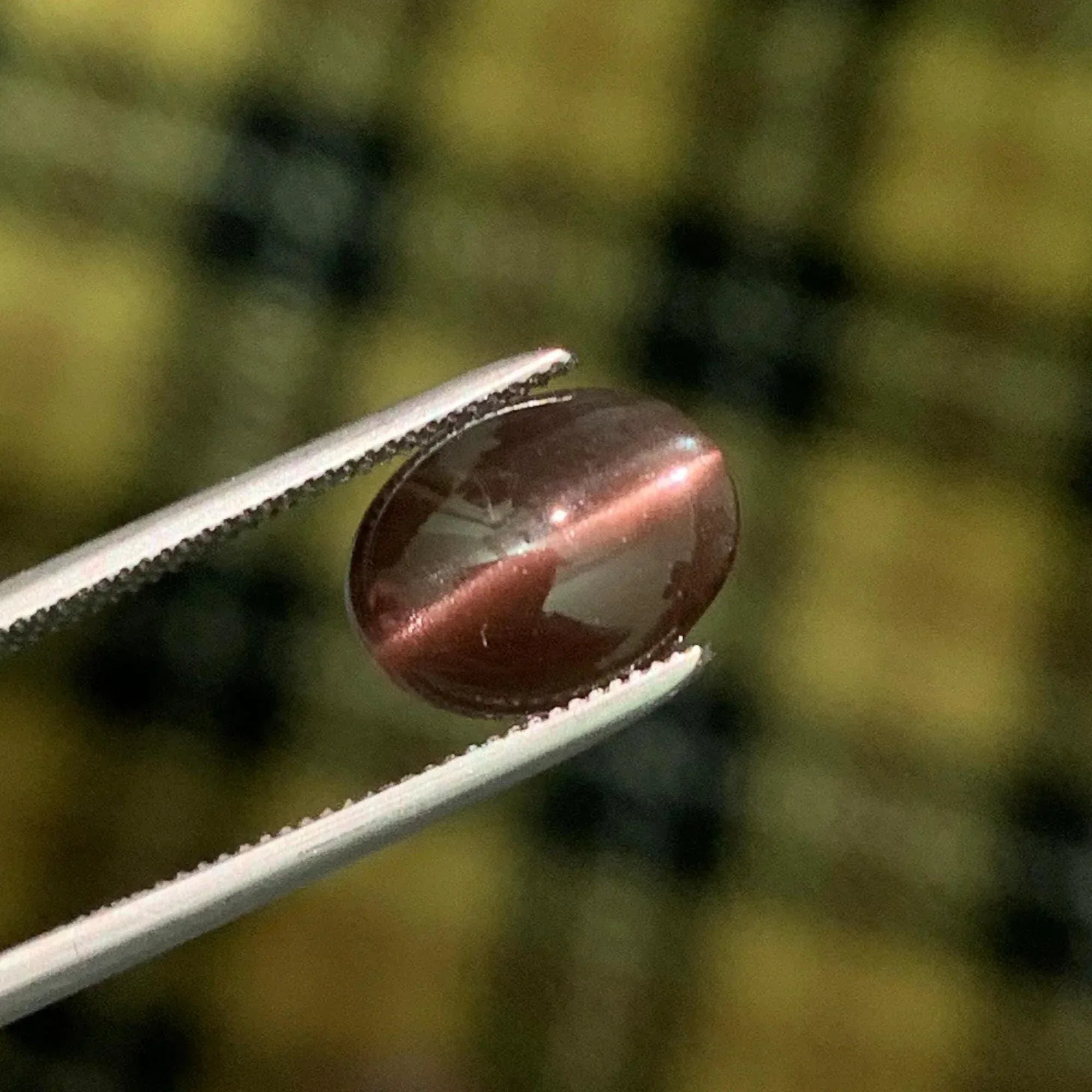 Cat's Eye Scapolite Gemstone: 2.05 Carat Oval Cabochon, Chocolaty Afghan Gem - Splendor Gems Main image