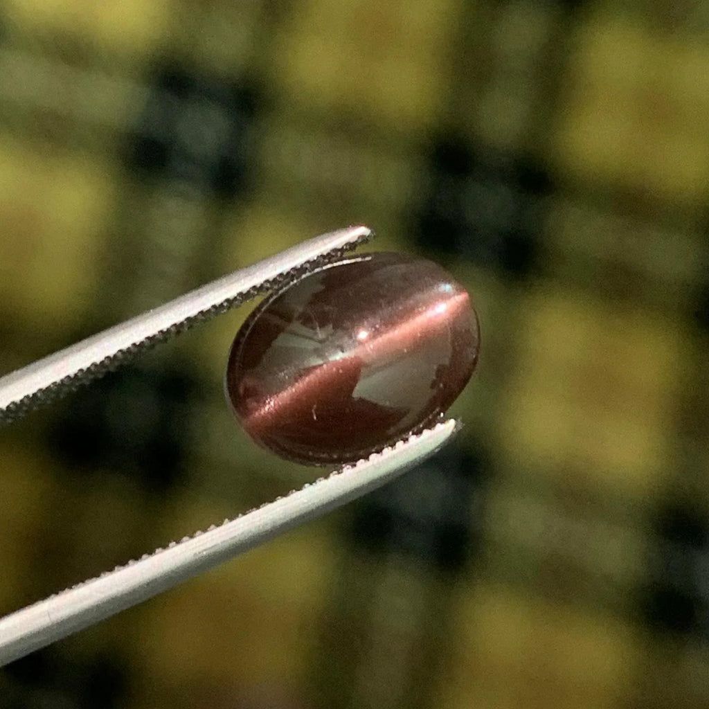 Cat's Eye Scapolite Gemstone: 2.05 Carat Oval Cabochon, Chocolaty Afghan Gem - Splendor Gems