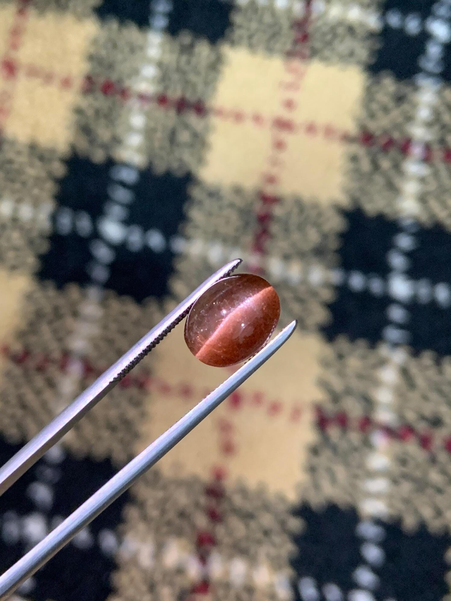 Natural Brown Cat's Eye Scapolite | Rare Oval Cabochon Gemstone