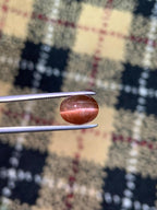 Natural Brown Cat's Eye Scapolite | Rare Oval Cabochon Gemstone