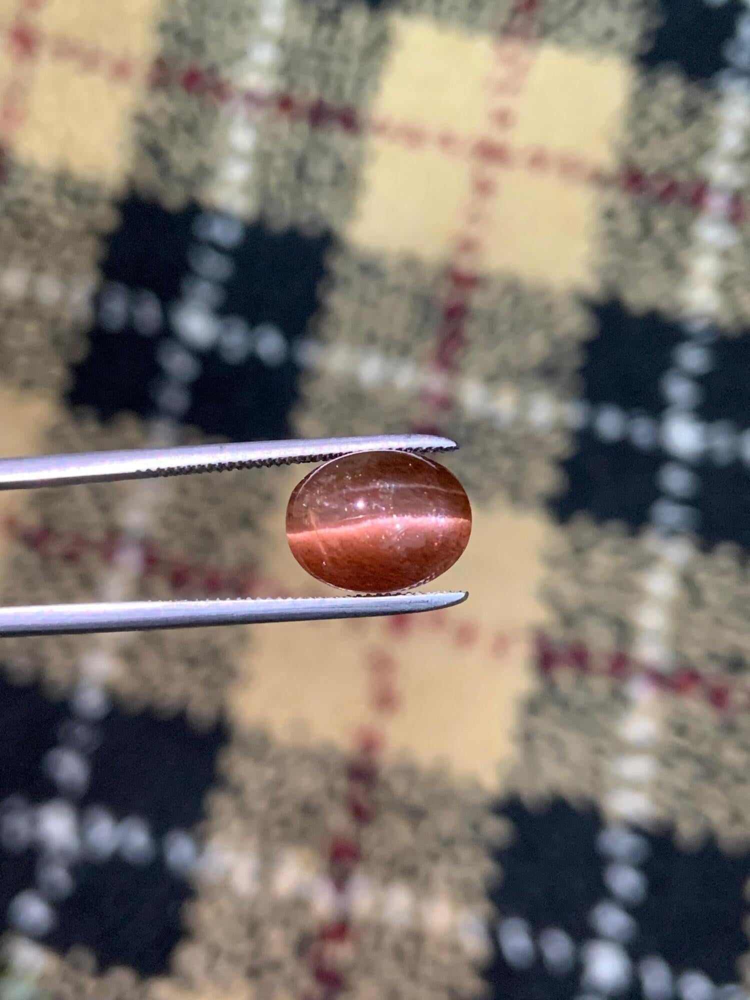 Natural Brown Cat's Eye Scapolite | Rare Oval Cabochon Gemstone