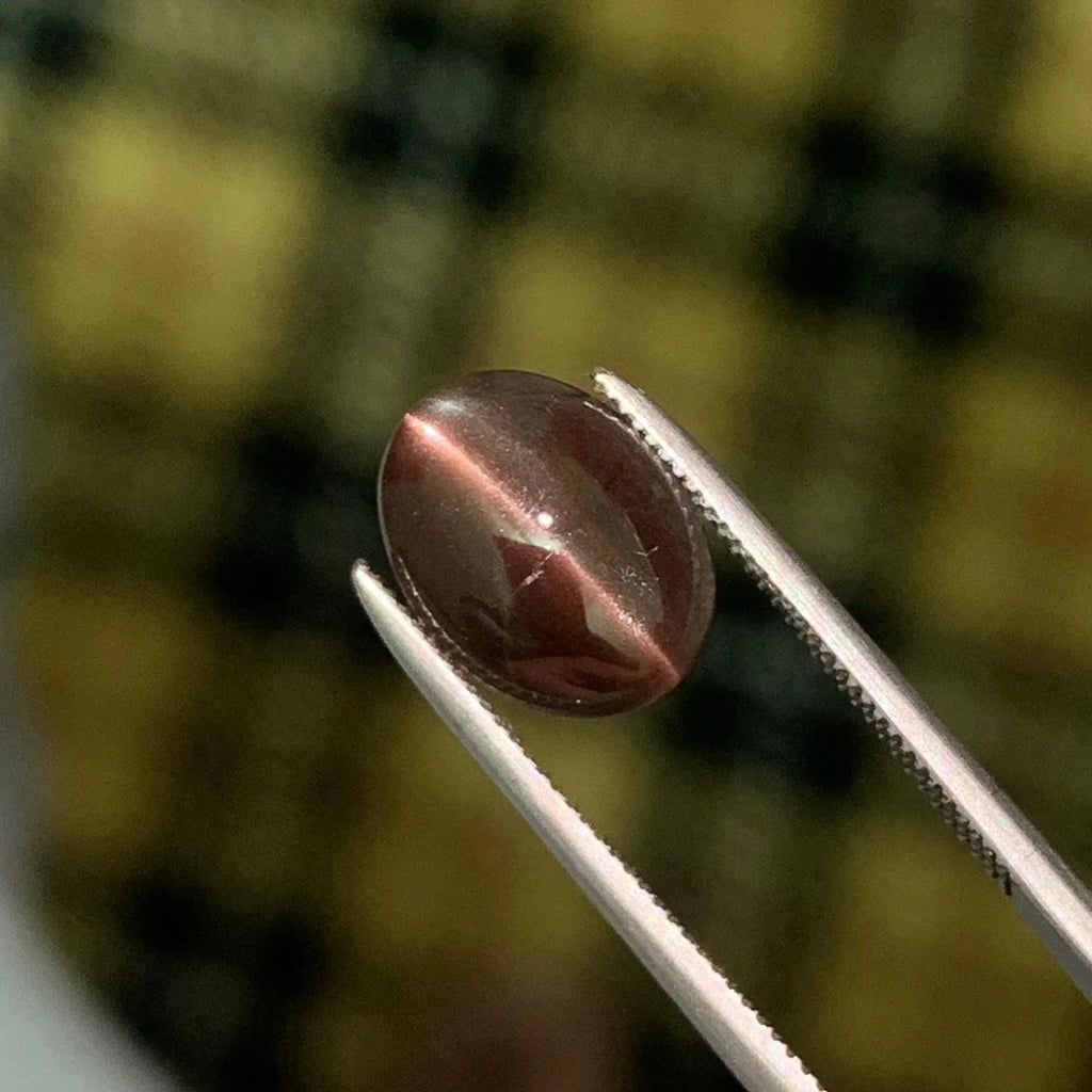Cat's Eye Scapolite Gemstone: 2.05 Carat Oval Cabochon, Chocolaty Afghan Gem - Splendor Gems