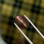 Cat's Eye Scapolite Gemstone: 2.05 Carat Oval Cabochon, Chocolaty Afghan Gem - Splendor Gems