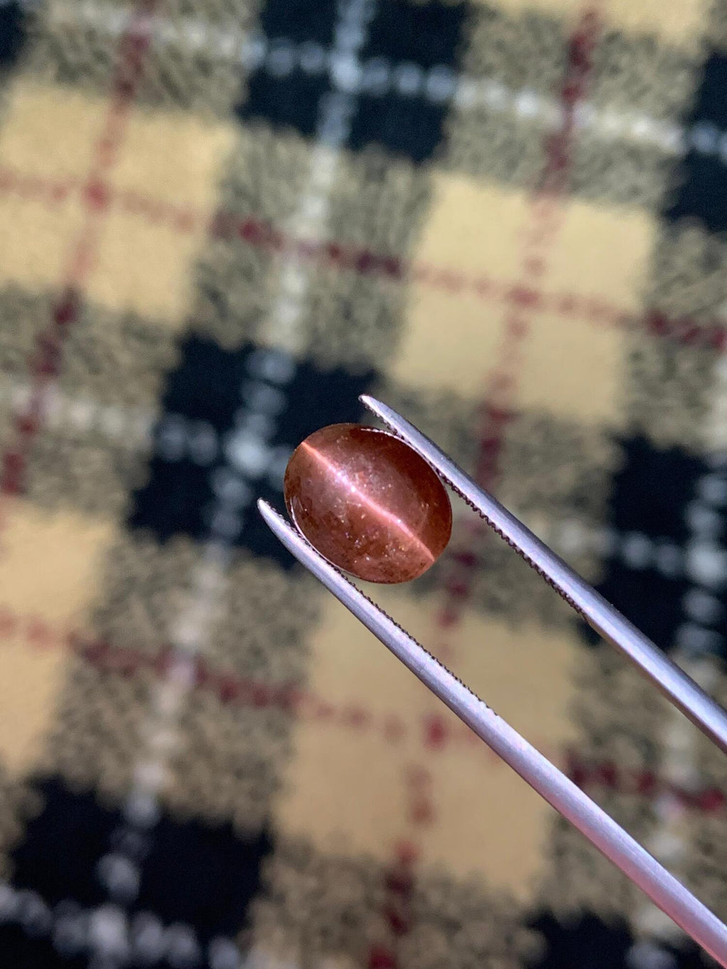 Natural Brown Cat's Eye Scapolite | Rare Oval Cabochon Gemstone