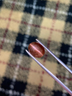 Natural Brown Cat's Eye Scapolite | Rare Oval Cabochon Gemstone