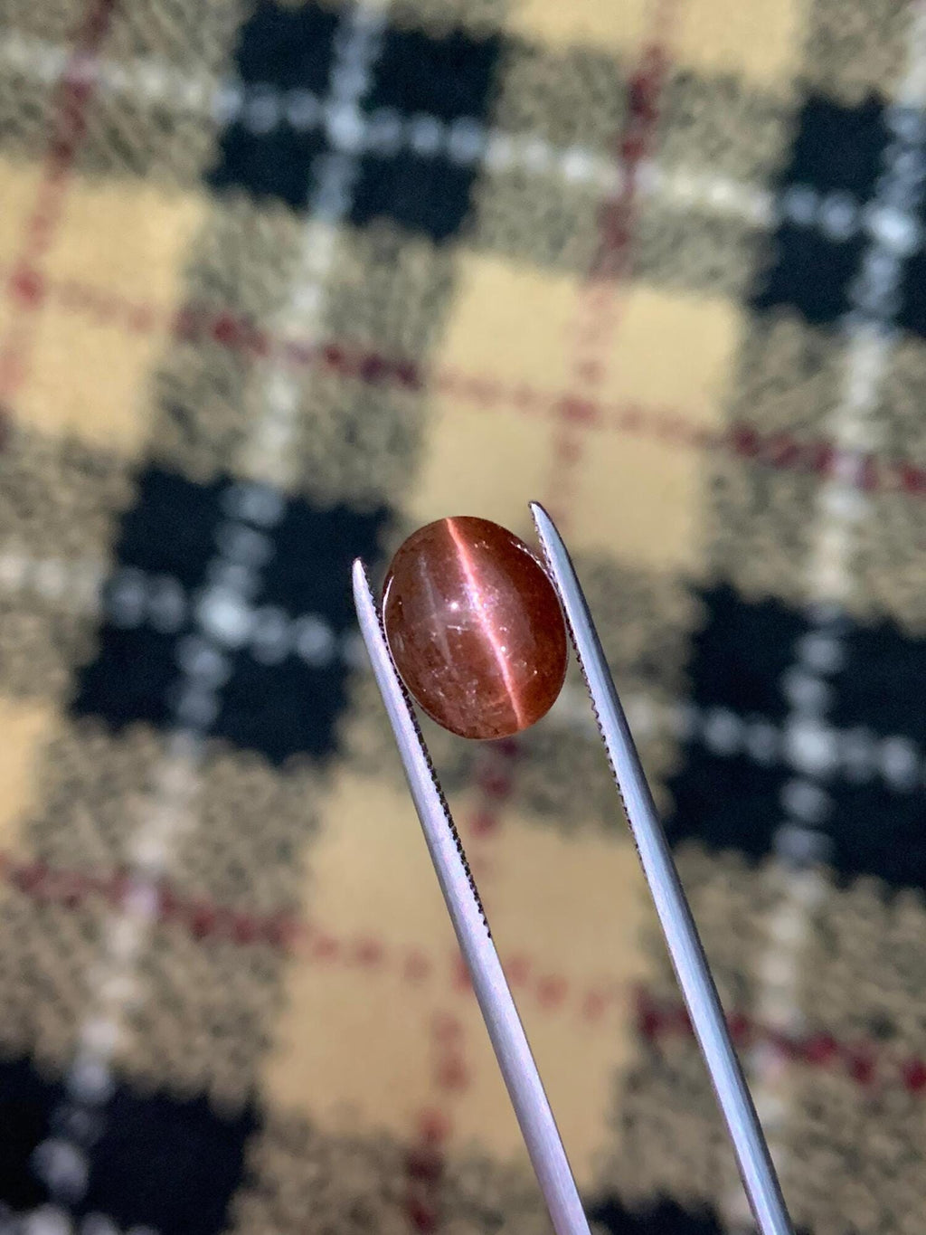 Natural Brown Cat's Eye Scapolite | Rare Oval Cabochon Gemstone