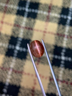 Natural Brown Cat's Eye Scapolite | Rare Oval Cabochon Gemstone