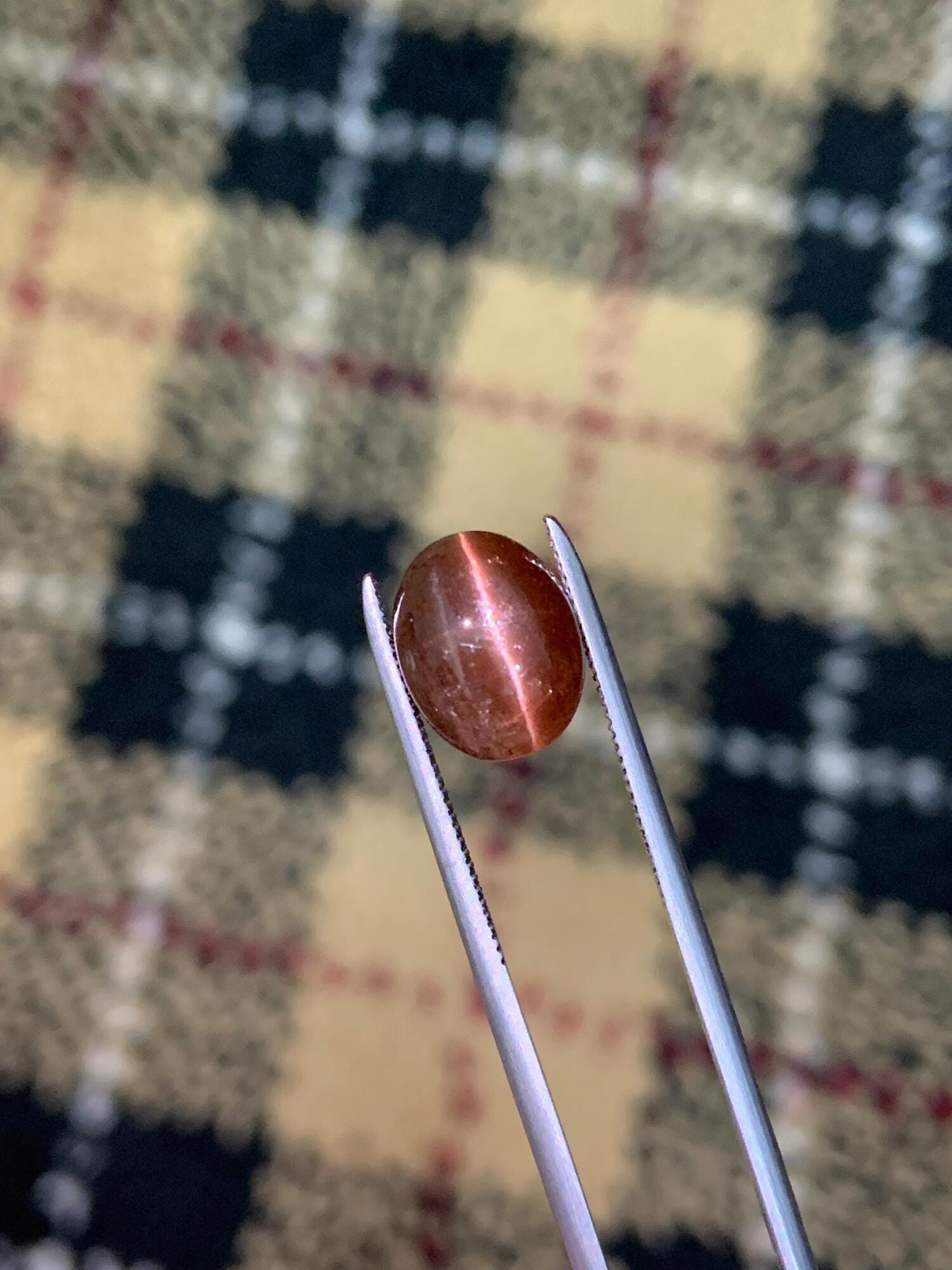 Natural Brown Cat's Eye Scapolite | Rare Oval Cabochon Gemstone