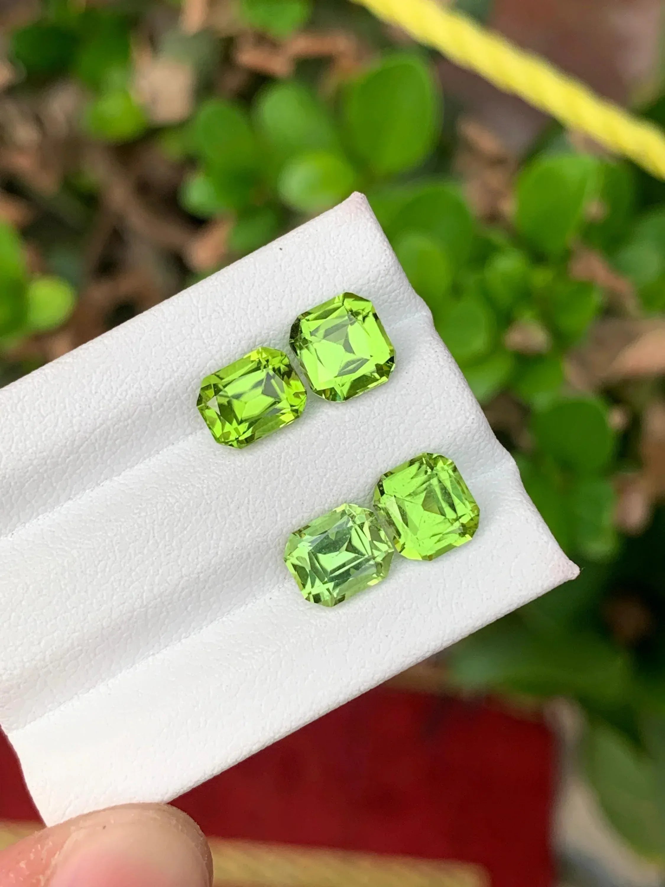 Apple Green Peridot Gemstone Pair: Faceted Cut, Pakistan - Splendor Gems
