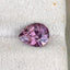 Burmese Pear Spinel Gemstone: 1.99 Carat Faceted Loose Spinel - Splendor Gems