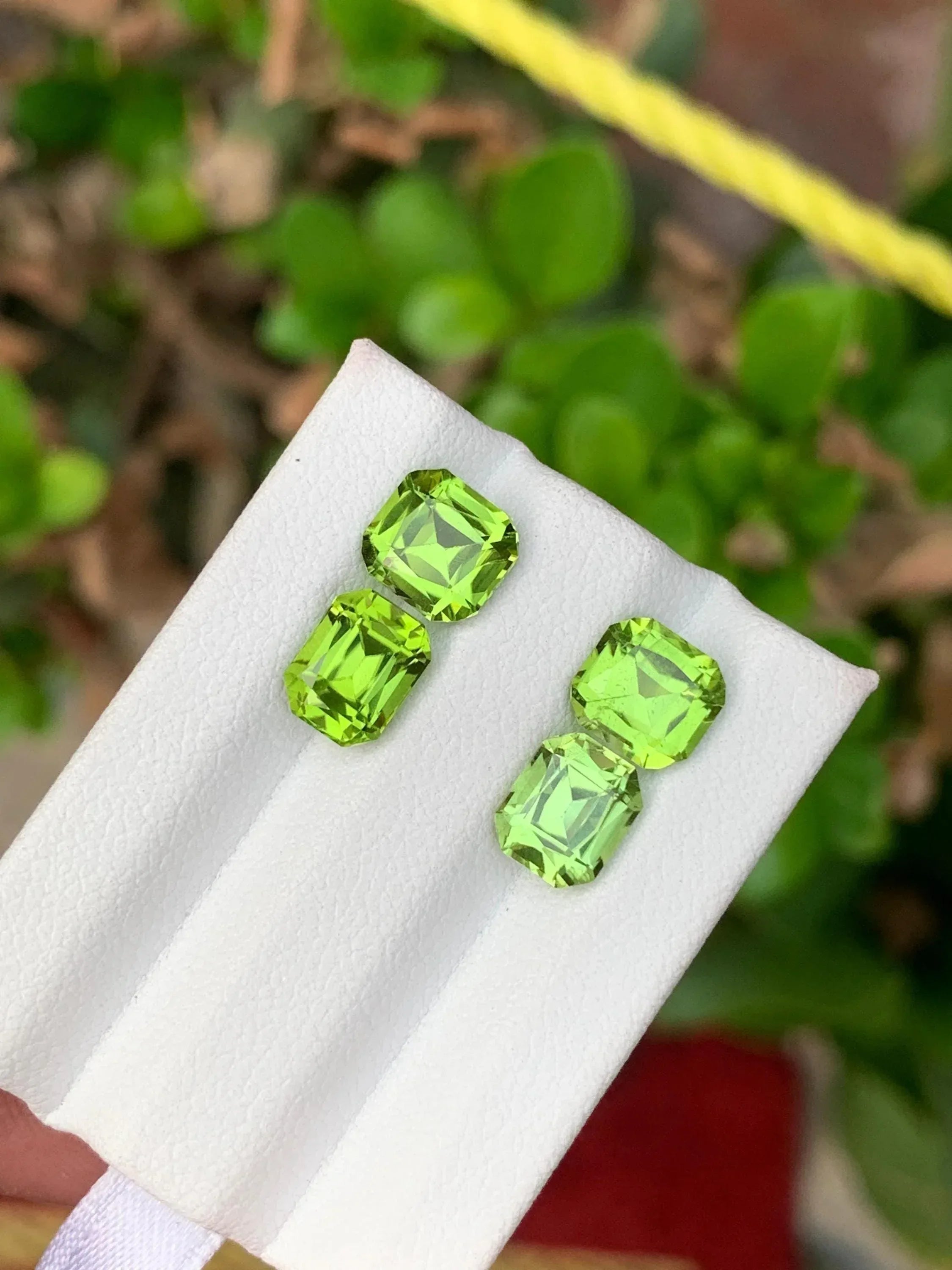 Apple Green Peridot Gemstone Pair: Faceted Cut, Pakistan - Splendor Gems