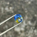 2.70 Carat Bicolor Sapphire: Cushion Cut Sri Lankan Gemstone - Splendor Gems
