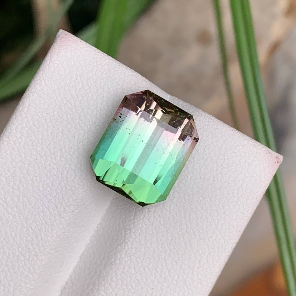 Natural Bi-Colour Tourmaline 8.65 Ct Loose Gemstone | SI Clean Afghanistan Tourmaline | Untreated Fine Jewelry Gem